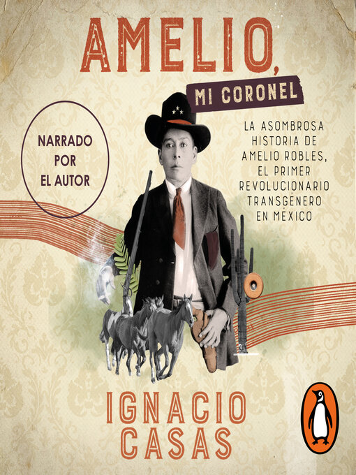 Cover image for Amelio, mi coronel